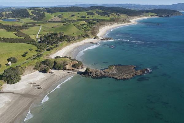 WEM Tawharanui Regional Park